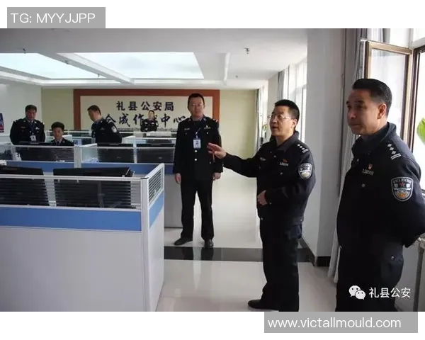 专访杨军：深入探讨排球运动背后的成功秘诀与发展之路