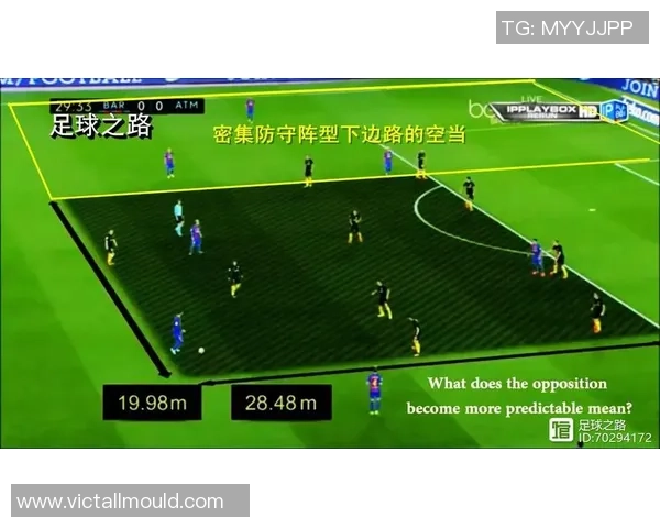 南京排球队防守革新之路探索团队协作与战术创新的结合