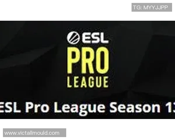 RNG战队在CSGO中的转型之路与未来发展潜力解析