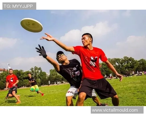 广州飞盘队的节奏与激情探索飞盘运动的魅力与团队精神